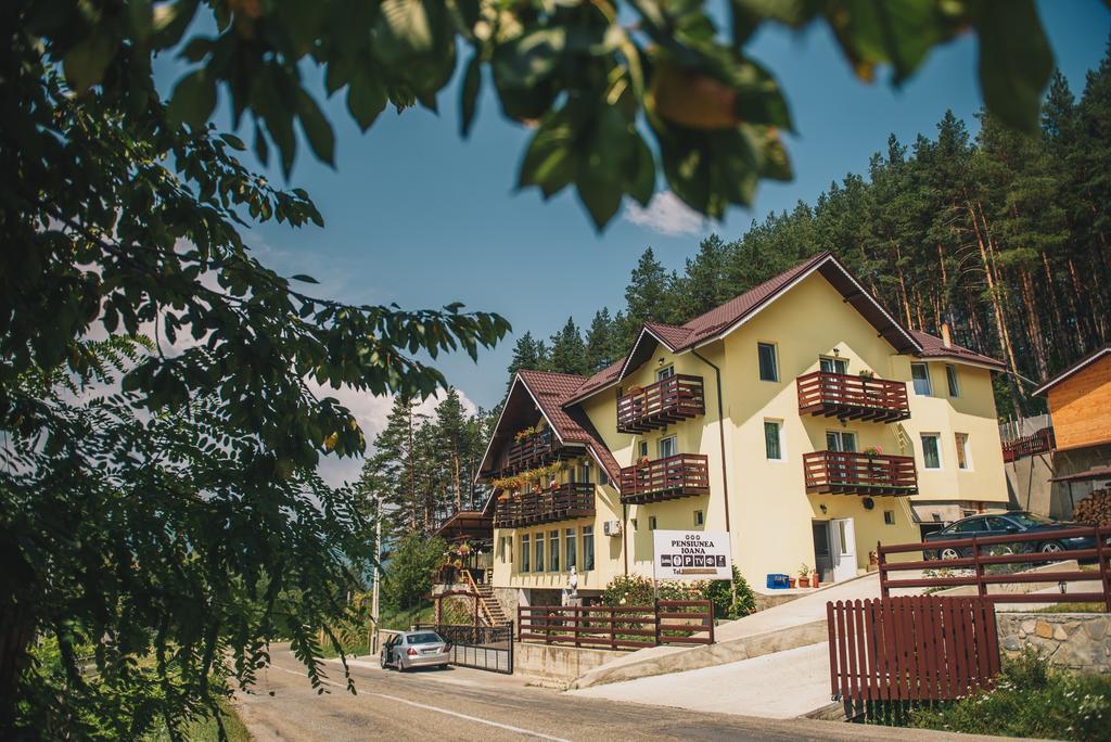 Pensiunea Ioana Ruginesti Exterior foto